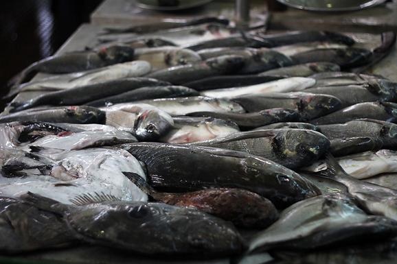 Đir po pešakariji 6. travnja 2012. (foto:Saša Čuka) Đir po pešakariji 6. travnja 2012. (foto:Saša Čuka)