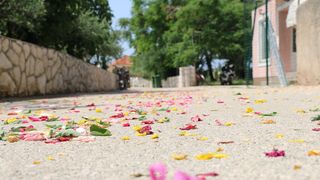 Tradicionalna procesija Tijelova ulicama Vira Tradicionalna procesija Tijelova ulicama Vira