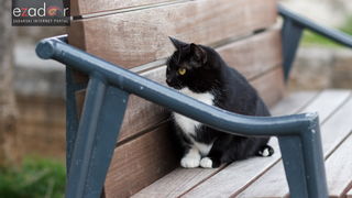 Đir po gradu, ponedjeljak 15. siječnja 2018.