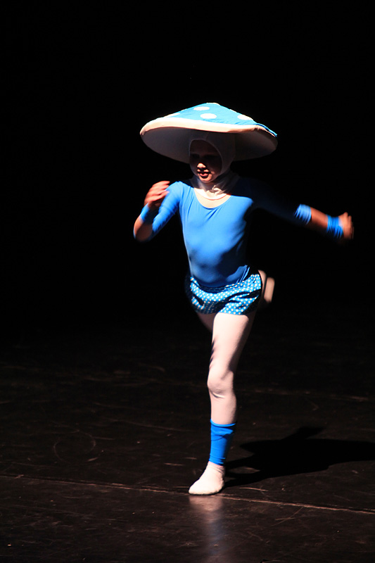 2. Zadarski plesni festival (In Memoriam Nives Šimatović-Predovan)