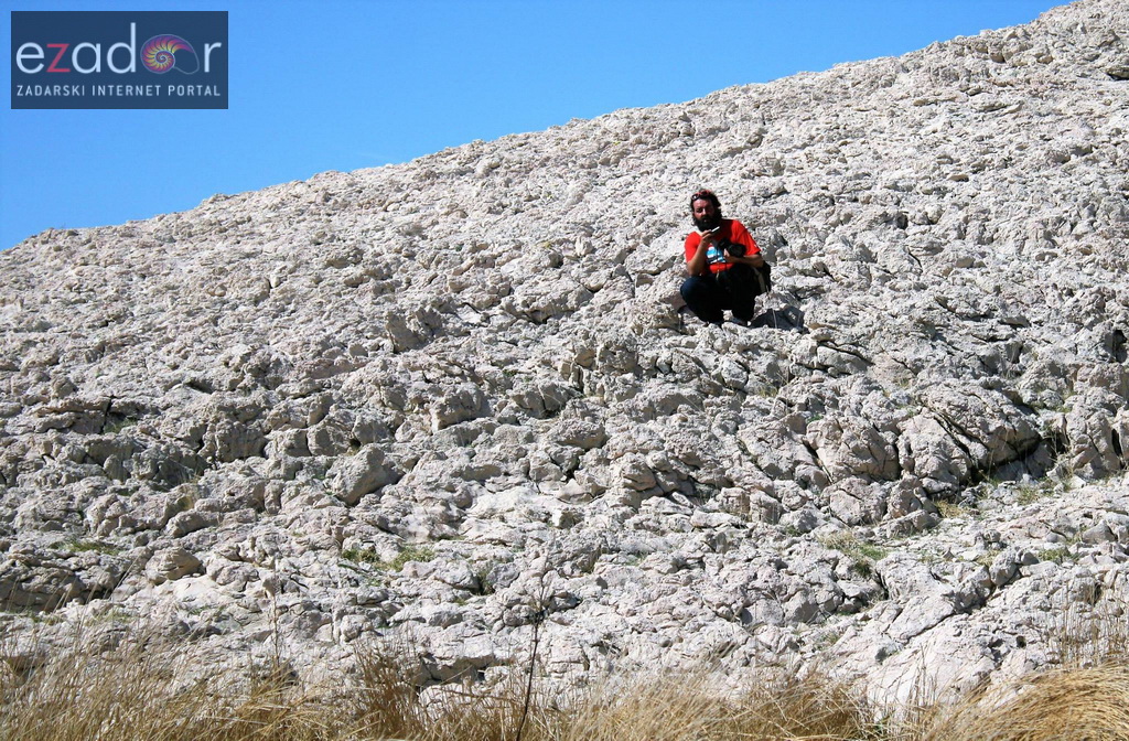 Metajna: Pag Island Star Trekk- Life on Mars Edition Metajna: Pag Island Star Trekk- Life on Mars Edition