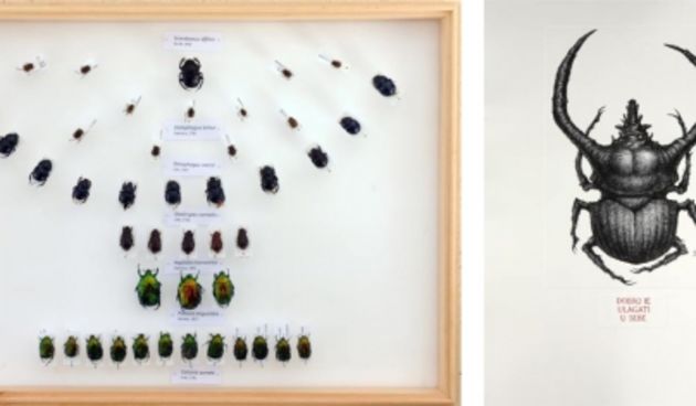 A što ako vam se ne sviđam – pozivnica izložbe