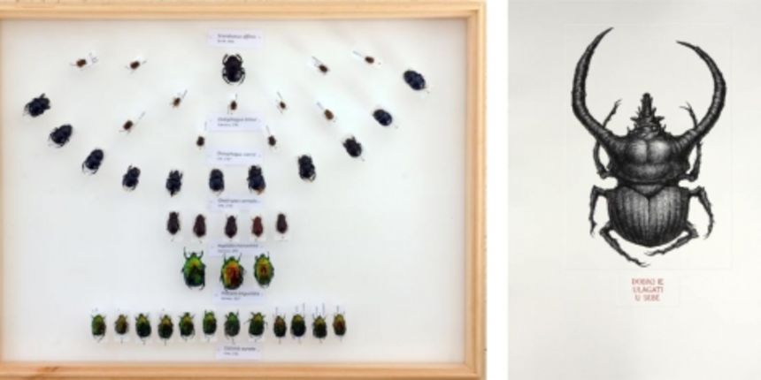 A što ako vam se ne sviđam – pozivnica izložbe A što ako vam se ne sviđam – pozivnica izložbe