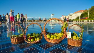 Festival smokava na Pozdravu suncu Festival smokava na Pozdravu suncu