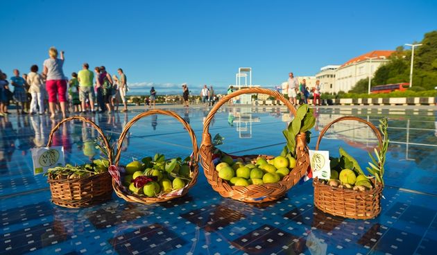 Festival smokava na Pozdravu suncu