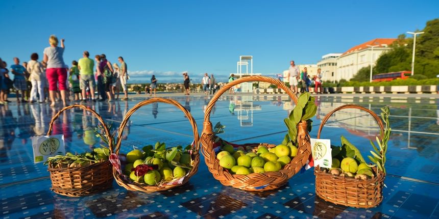 Festival smokava na Pozdravu suncu