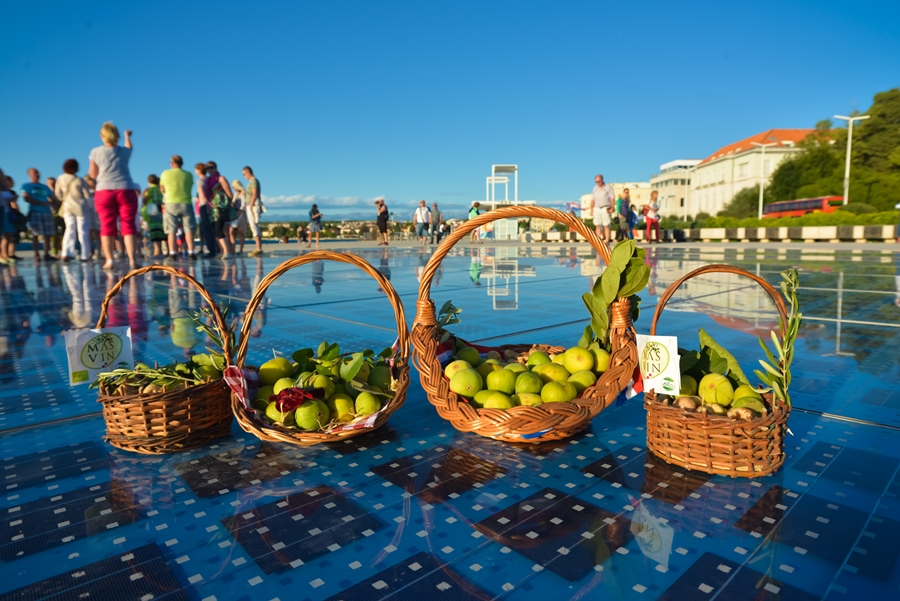 Festival smokava na Pozdravu suncu Festival smokava na Pozdravu suncu