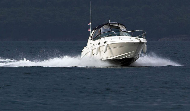 Image 1174197 (auto)