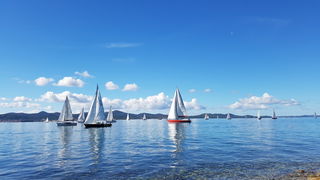 Zadarska Koka 2016. 22. listopada 2016. Foto: Mladen Malik Zadarska Koka 2016. 22. listopada 2016. Foto: Mladen Malik