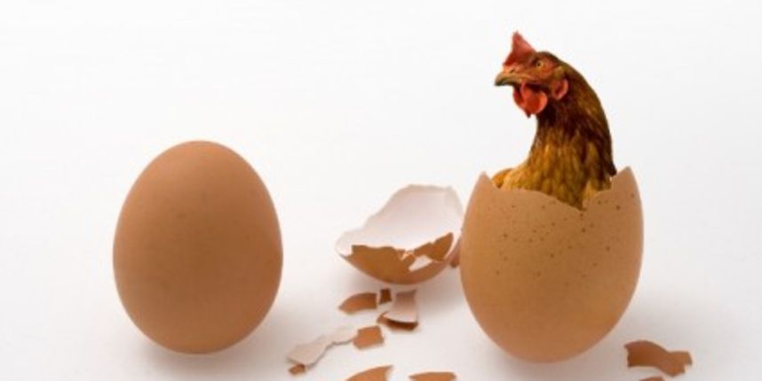 Znanstvenici tvrde da je “kokoš bila prije jajeta” (Metro-portal.hr) Znanstvenici tvrde da je “kokoš bila prije jajeta” (Metro-portal.hr)