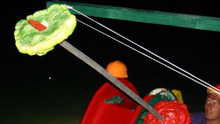 Biograd na Moru: 1. Morska alga 8. kolovoza 2009, Foto: Mladen Malik