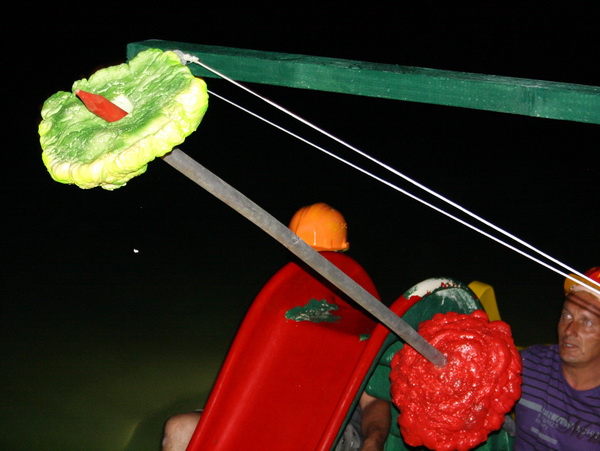 Biograd na Moru: 1. Morska alga 8. kolovoza 2009, Foto: Mladen Malik