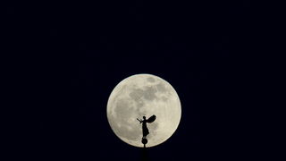 Zadar, 050512.
Danas je mjesec u tocki perigeja.
Puni Mjesec je najveci i najblistaviji u ovoj godini odnosno u zadnjih 19 godina, te ce na svojoj putanji biti najblize Zemlji.
Na fotografiji puni mjesec i silueta andjela na zvoniku zadarske Katedrale Zadar, 050512.
Danas je mjesec u tocki perigeja.
Puni Mjesec je najveci i najblistaviji u ovoj godini odnosno u zadnjih 19 godina, te ce na svojoj putanji biti najblize Zemlji.
Na fotografiji puni mjesec i silueta andjela na zvoniku zadarske Katedrale