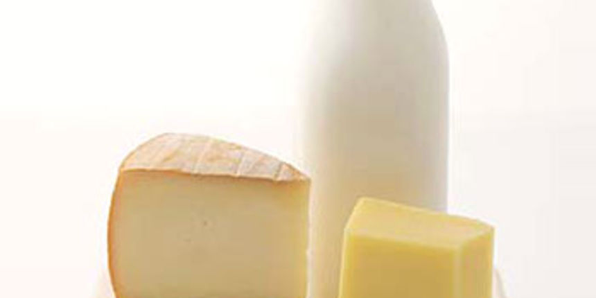 Mlijeko i mliječni proizvodi(foto:svijetmirisa.com.hr) Mlijeko i mliječni proizvodi(foto:svijetmirisa.com.hr)