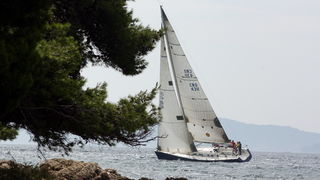 ORC kup Hrvatske: Zadarki kup 2010., Foto. Mladen Malik