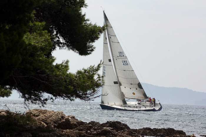 ORC kup Hrvatske: Zadarki kup 2010., Foto. Mladen Malik