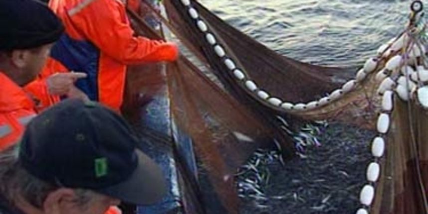 Ribari ZERP (Foto: HTV) Ribari ZERP (Foto: HTV)