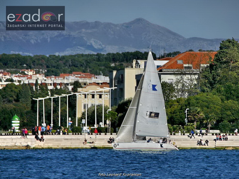 Zadarska koka 2017. Zadarska koka 2017.