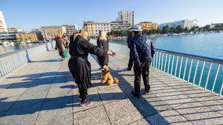 Image 380451 (auto) Image 380451 (auto)