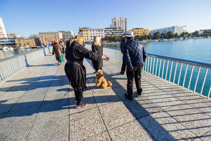 Image 380451 (auto) Image 380451 (auto)