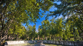 Đir zadarskim parkovima,27. veljače 2012. (foto:Saša Čuka)