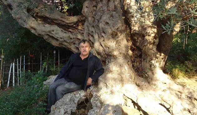 Vebija Abazović iz Bara vlasnik je masline stare 2.056 godina