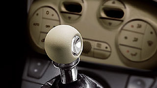 Image 1208961 (auto)