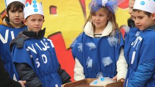 Virski Karnevalić 2017.