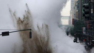 Image 1176077 (auto)