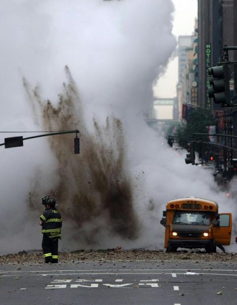 Image 1176077 (auto)