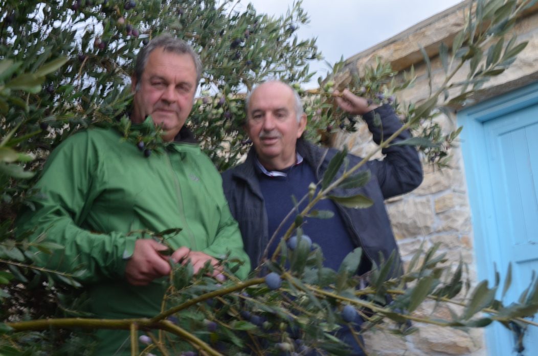 4. Dr. Vlatković Neke već šaraju 4. Dr. Vlatković Neke već šaraju