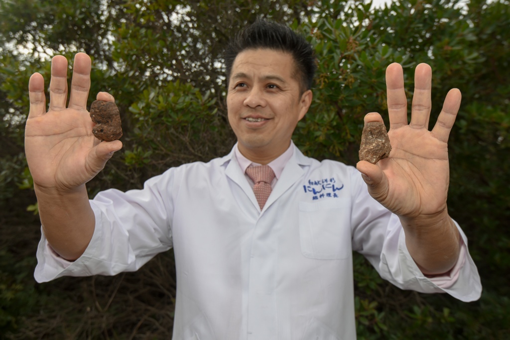 Tuna, sushi and wine festival: Ručak u Kraljevskim vinogradima Tuna, sushi and wine festival: Ručak u Kraljevskim vinogradima