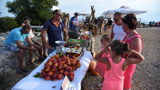 Održan sajam “Luka i igara”