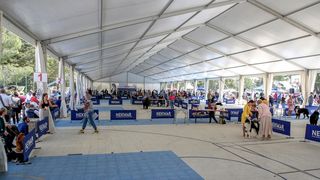 Međunarodna izložba pasa CACIB 2023