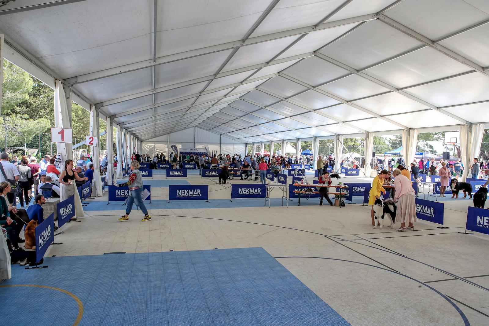 Međunarodna izložba pasa CACIB 2023