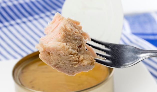 Tuna iz konzerve