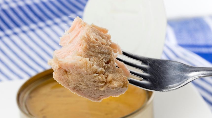 Tuna iz konzerve Tuna iz konzerve