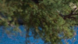 Kupanje na plaži Kolovare 8. listopada (foto:Saša Čuka)