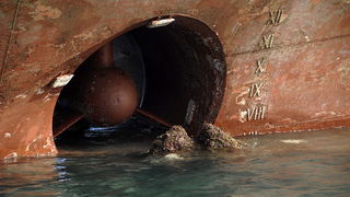 Image 1057541 (auto)