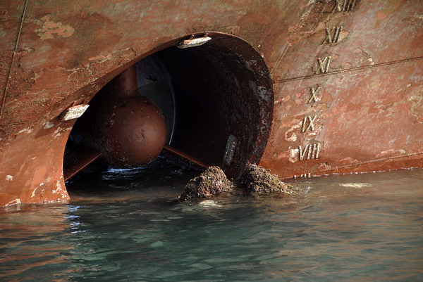 Image 1057541 (auto)