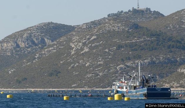 Tunogojiliste na zapadnoj strani otoka Ugljana, kavezi za uzgoj tune u vlasnistvu firme “Kali tuna”. Photo: Dino Stanin/PIXSELL