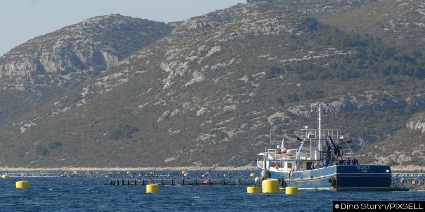 Tunogojiliste na zapadnoj strani otoka Ugljana, kavezi za uzgoj tune u vlasnistvu firme “Kali tuna”. Photo: Dino Stanin/PIXSELL