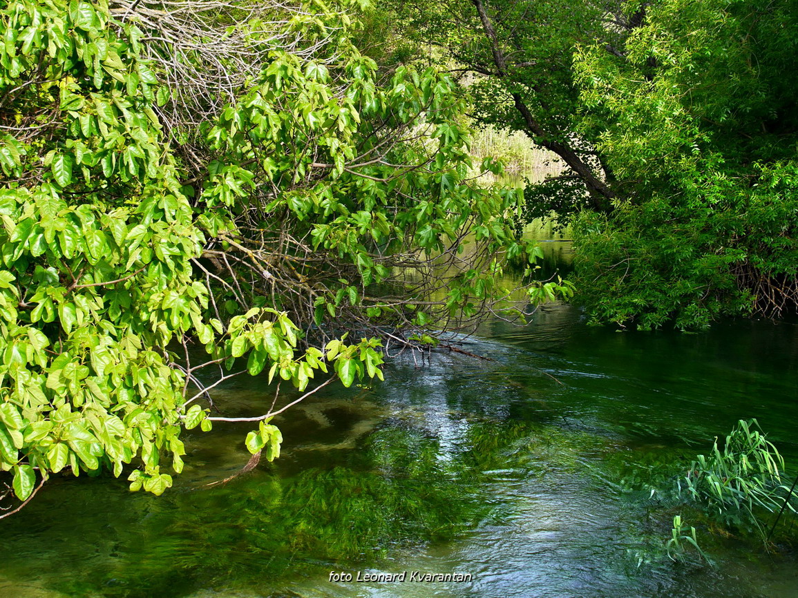 Prvosvibanjski izlet na Skradinski Buk