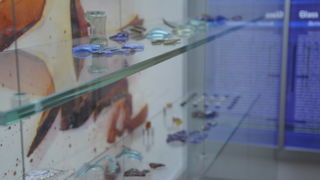 Zadrani na stručnom putovanju: Split, Drniš, Burnum Zadrani na stručnom putovanju: Split, Drniš, Burnum