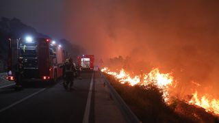 Tučepi: Požar se širi, zahvatio ranč i kuće, vatrogasci u akciji