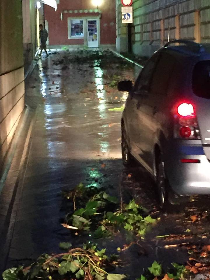 Posljedice grmljavinske nevere koja je poharala Zadar