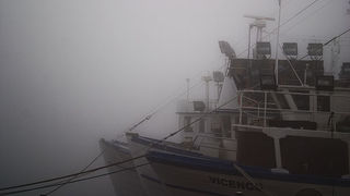 Zadar, magla svuda oko nas