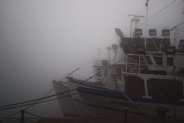 Zadar, magla svuda oko nas