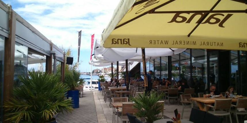 Lončanice, palma, Harbor, štekat