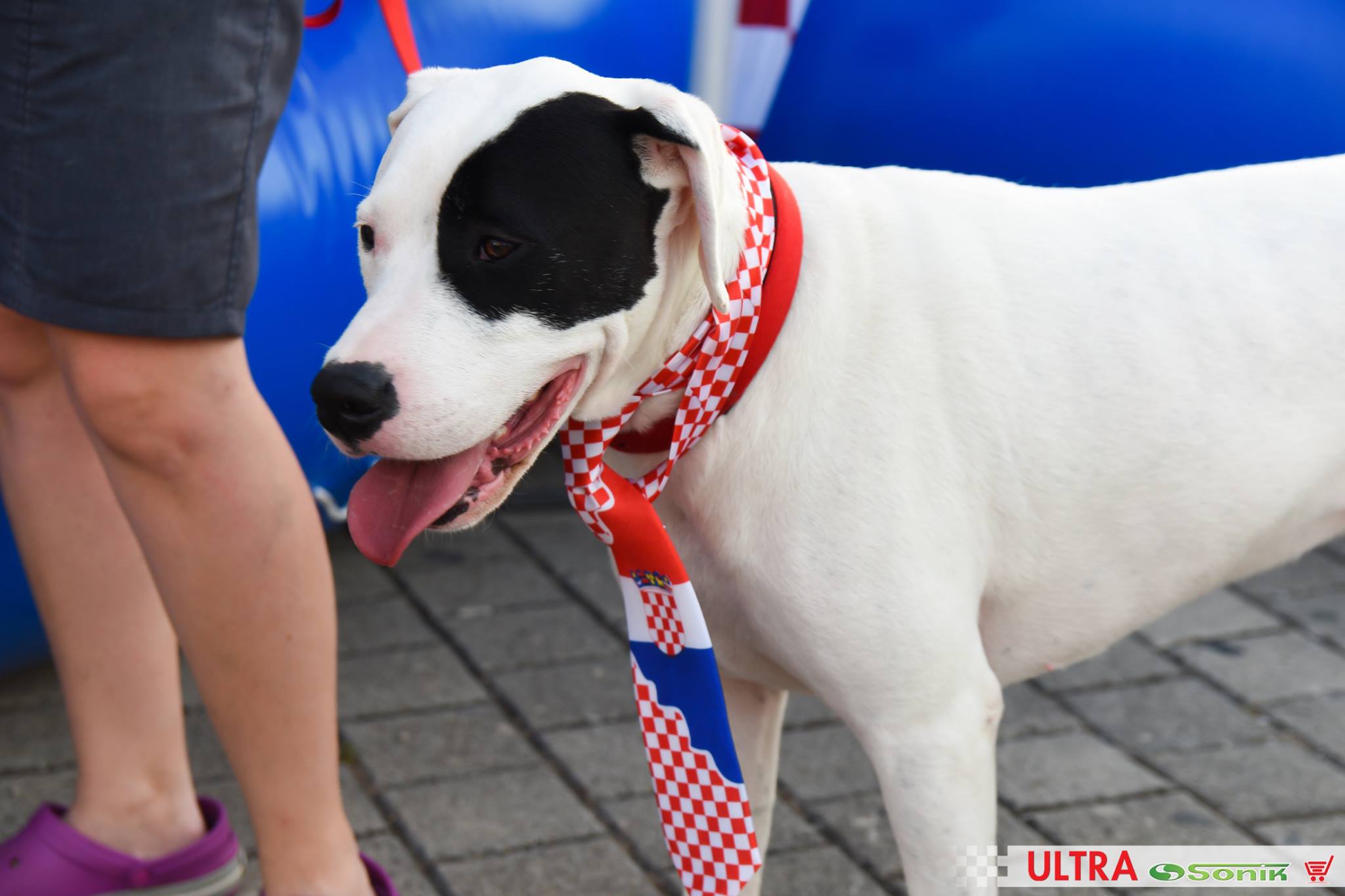 Sonikova EUROforija u Preku Sonikova EUROforija u Preku